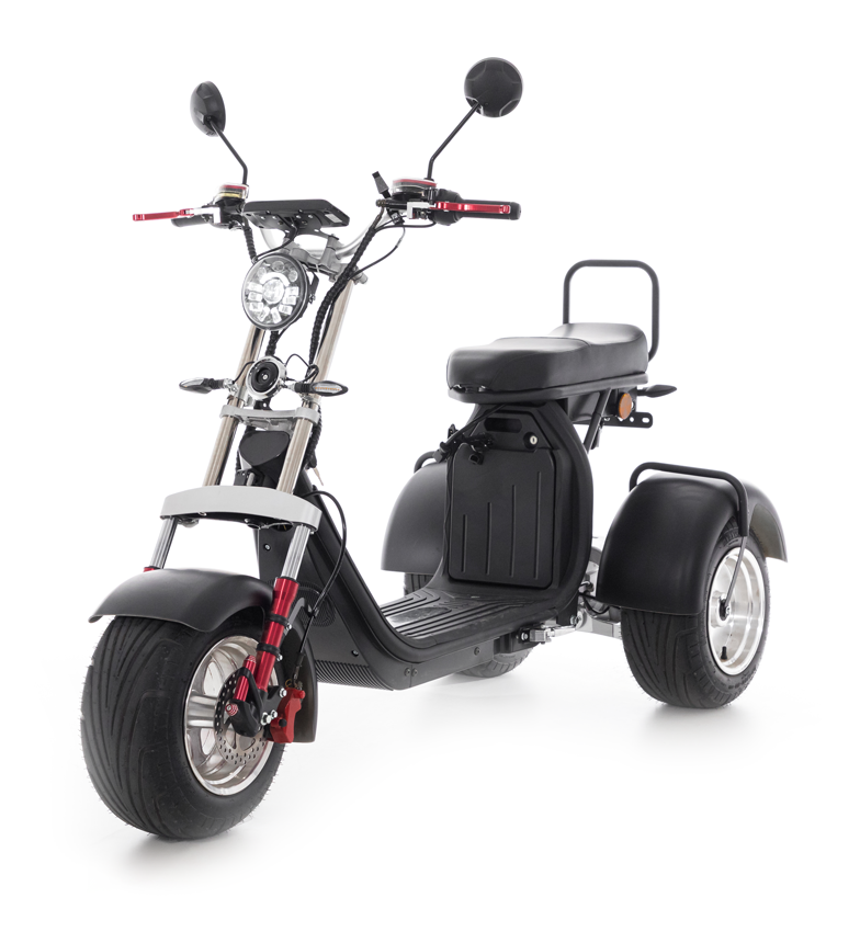 Chopper electric UNIZDRAV EasyRide
