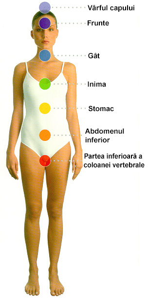 Biolampa ActiveLight Professional + terapie prin culoare (Set Ofertă)