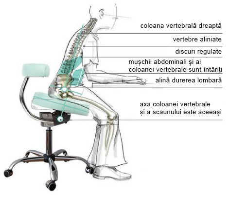 Scaun ergonomic pentru cabinete, albastru