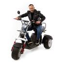 Chopper electric UNIZDRAV EasyRide
