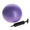 Minge de reabilitare BallTim, 25 cm