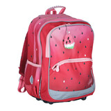 Ghiozdan ergonomic cu pepene roșu