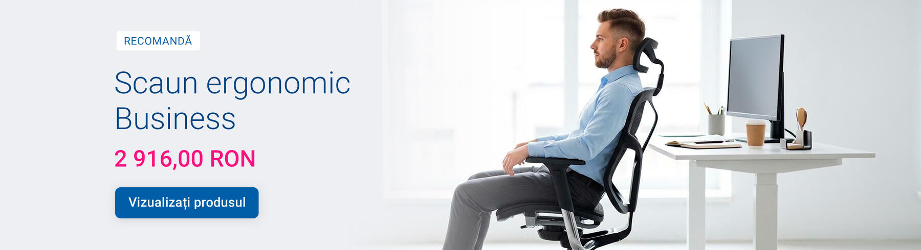 Scaun ergonomic Business