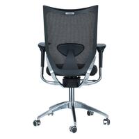 Scaun de birou ergonomic, negru