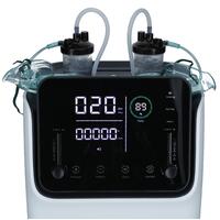 Concentrator profesional de oxigen pentru două persoane ZY-10FW