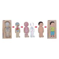 Puzzle stratificat Body puzzle Boy - Beleduc