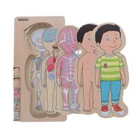 Puzzle stratificat Body puzzle Boy - Beleduc