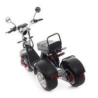 Chopper electric UNIZDRAV EasyRide