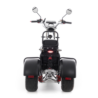 Chopper electric UNIZDRAV EasyRide