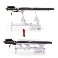 Pat chiropractic HICO