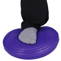 Pernă de echilibru, violet