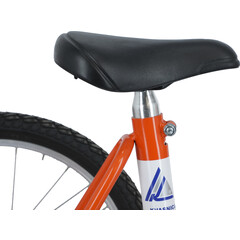 Tricicletă - Junior (pentru copii)