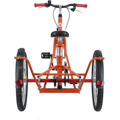 Tricicletă - Junior (pentru copii)