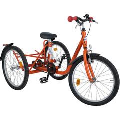 Tricicletă - Junior (pentru copii)