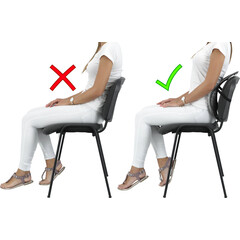 Suport ergonomic pentru spate