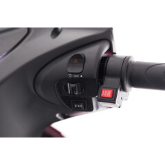 Scuter electric cu trei roți CHAMPION pentru seniori - motor puternic de 1000 W, roșu