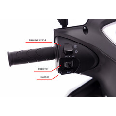 Scuter electric cu trei roți CHAMPION pentru seniori și persoane invalide - motor puternic de 1000 W, negru