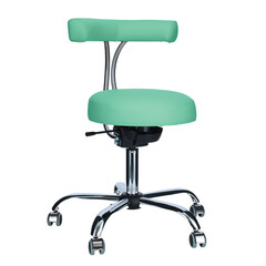 Scaun ergonomic pentru cabinete, verde