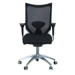 Scaun de birou ergonomic, albastru