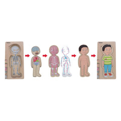Puzzle stratificat Body puzzle Boy - Beleduc