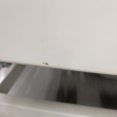 Pat electric reglabil cu saltea Home (Produs folosit)