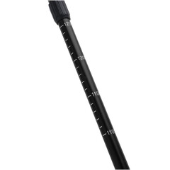 Bețe de trekking, negre