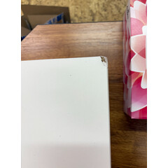 Trusă de prim ajutor din lemn suspendată- fără ustensile, albă (Articol folosit)