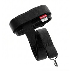 Banda peroneală lungă