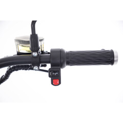 Chopper electric UNIZDRAV Newspeed 2000 W