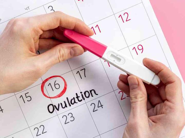 Testul de ovulație: cum funcționează și când se face
