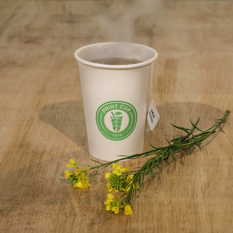 Pahar de hârtie 250 ml, 50 buc