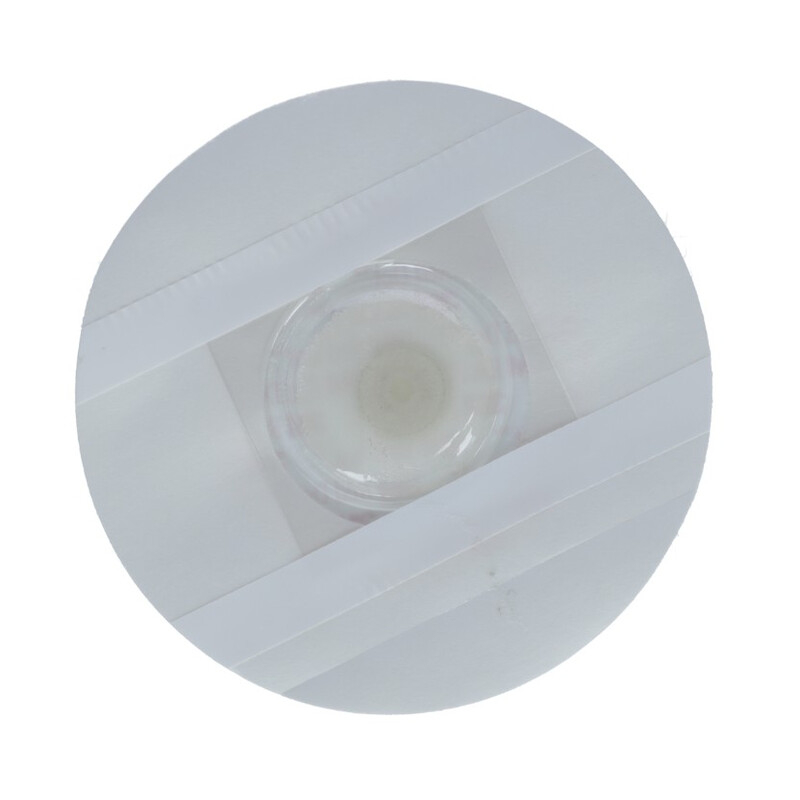 Monitor de ritm cardiac Holter EKG/ECG 24h cu analiză online a datelor