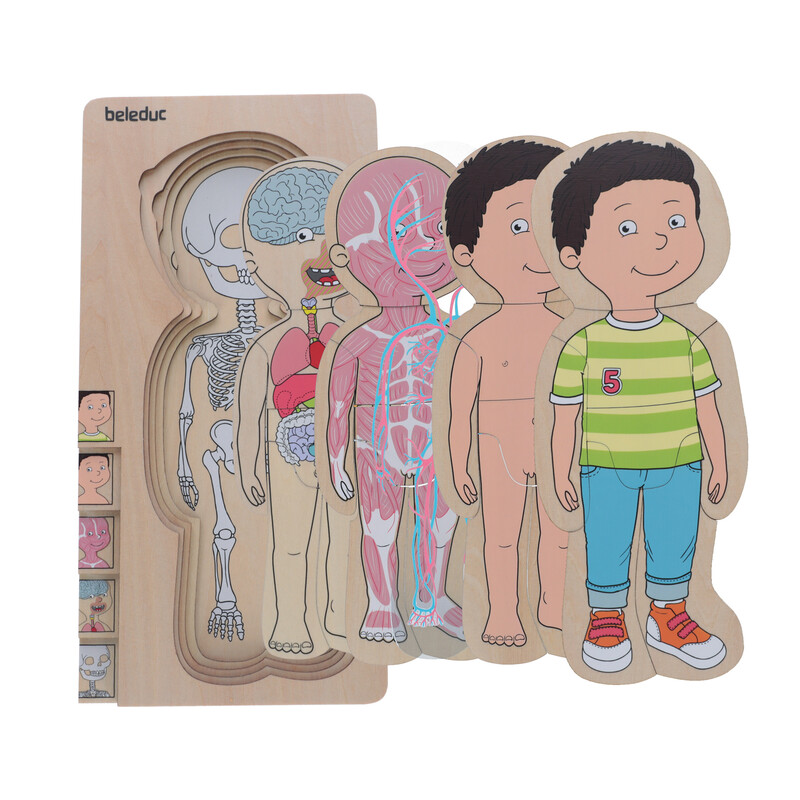 Puzzle stratificat Body puzzle Boy - Beleduc