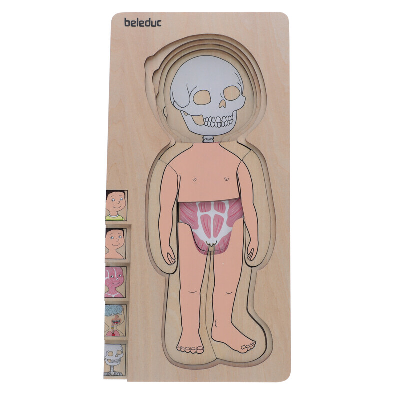 Puzzle stratificat Body puzzle Boy - Beleduc
