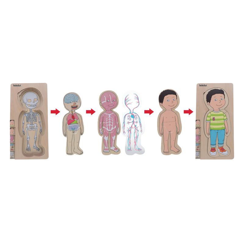 Puzzle stratificat Body puzzle Boy - Beleduc