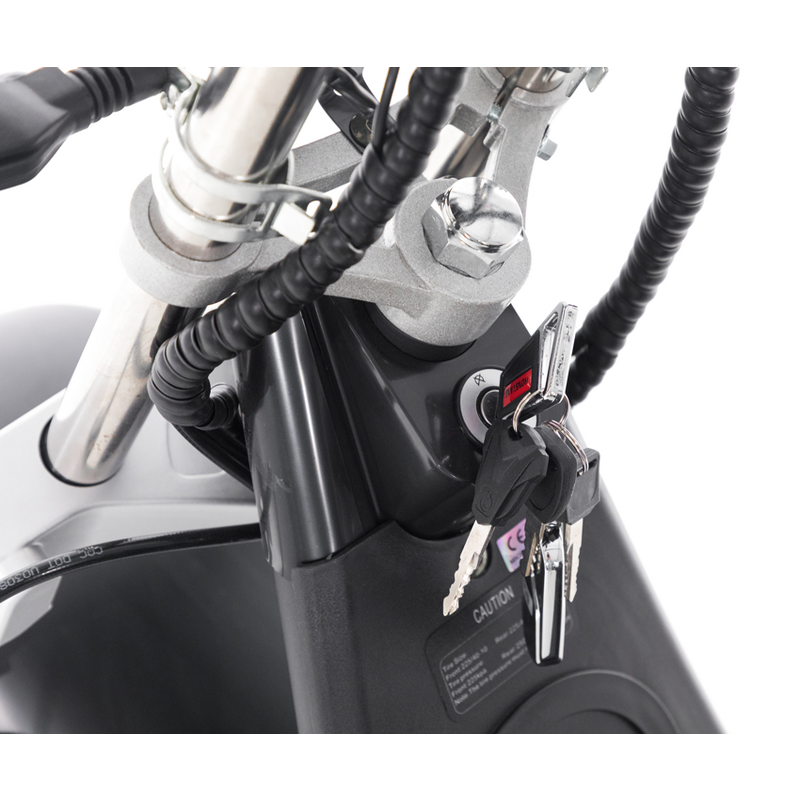 Chopper electric UNIZDRAV EasyRide