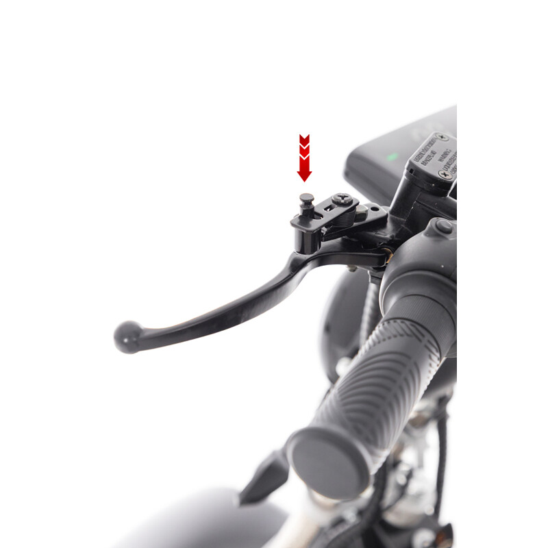 Chopper electric UNIZDRAV PRO Trike Black