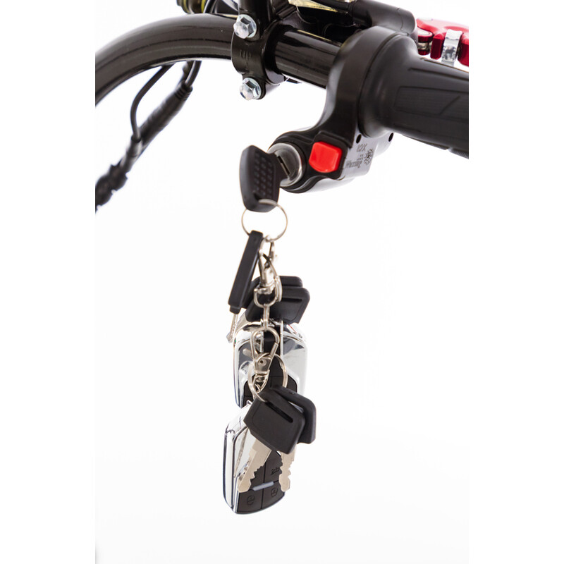 Chopper electric UNIZDRAV(Produs expus)